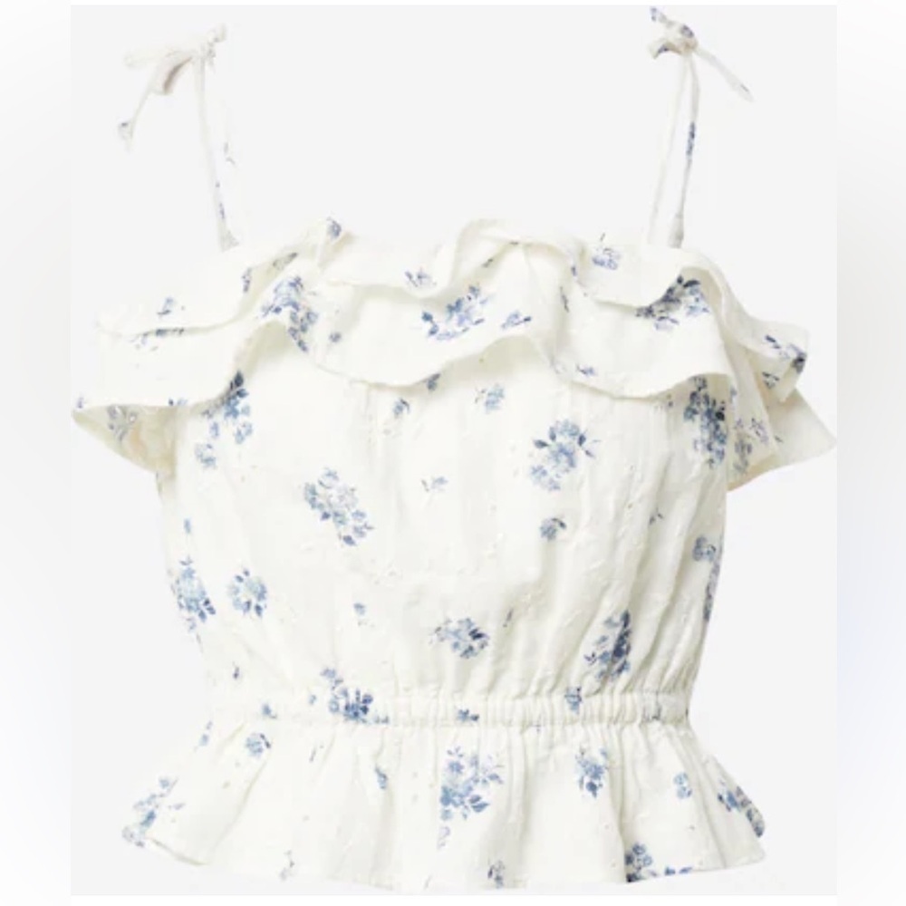 American Eagle Floral Eyelet Paisley Ruffle Crop Tank Top